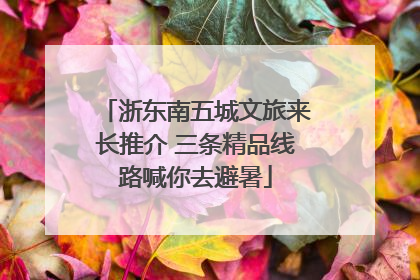 浙东南五城文旅来长推介 三条精品线路喊你去避暑