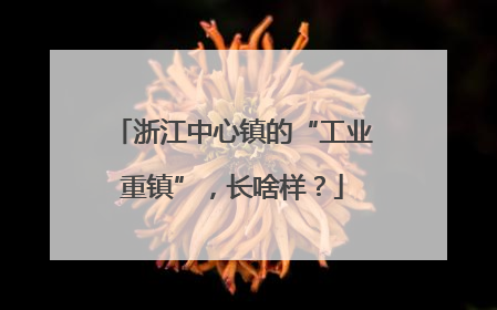 浙江中心镇的“工业重镇”，长啥样？
