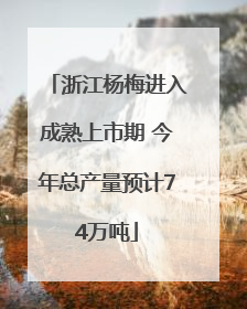 浙江杨梅进入成熟上市期 今年总产量预计74万吨