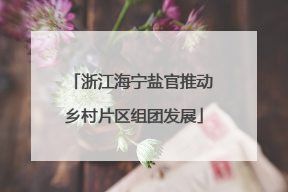 浙江海宁盐官推动乡村片区组团发展