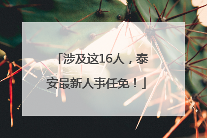 涉及这16人，泰安最新人事任免！