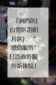 涧西区(自贸区洛阳片区)：“增值服务”打造政务服务新体验