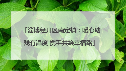 淄博经开区南定镇：暖心助残有温度 携手共绘幸福路