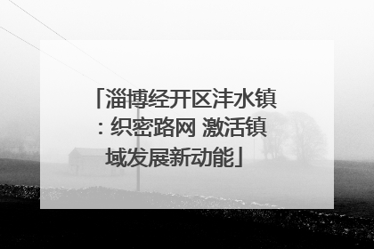 淄博经开区沣水镇：织密路网 激活镇域发展新动能