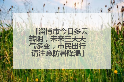 淄博市今日多云转阴，未来三天天气多变，市民出行请注意防暑降温
