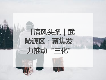清风头条｜武陵源区：聚焦发力推动“三化”建设年行动