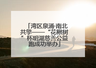 湾区泉涌·南北共擎——“花楸树”杯明湖慈善公益跑成功举办