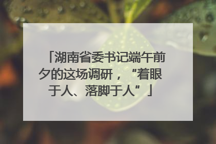湖南省委书记端午前夕的这场调研，“着眼于人、落脚于人”
