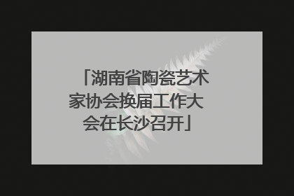 湖南省陶瓷艺术家协会换届工作大会在长沙召开