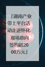 湖南产业带上平台活动走进怀化 现场意向签约超2000万元