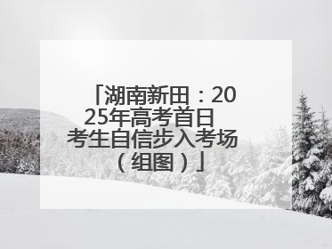 湖南新田：2025年高考首日 考生自信步入考场（组图）