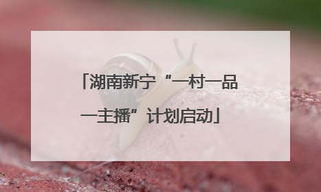 湖南新宁“一村一品一主播”计划启动