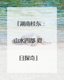 湖南桂东：山水四都 夏日探奇