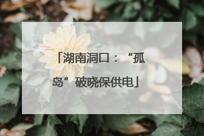 湖南洞口：“孤岛”破晓保供电