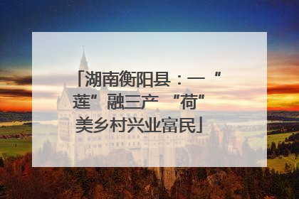 湖南衡阳县：一“莲”融三产 “荷”美乡村兴业富民