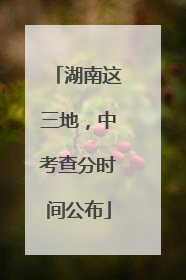 湖南这三地，中考查分时间公布