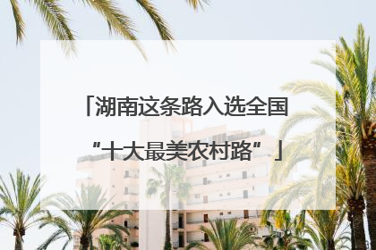 湖南这条路入选全国“十大最美农村路”