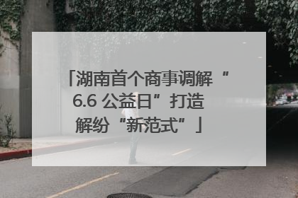 湖南首个商事调解“6.6 公益日”打造解纷“新范式”