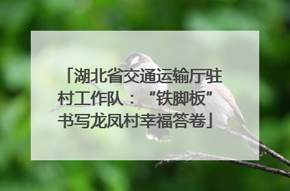 湖北省交通运输厅驻村工作队：“铁脚板”书写龙凤村幸福答卷