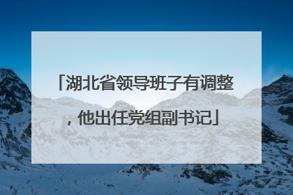 湖北省领导班子有调整，他出任党组副书记