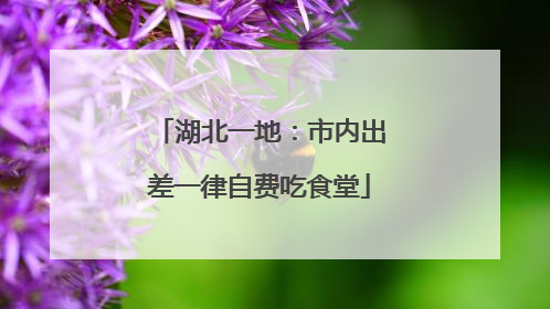湖北一地：市内出差一律自费吃食堂