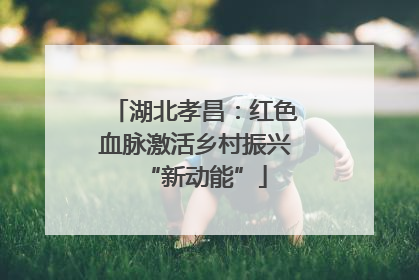 湖北孝昌：红色血脉激活乡村振兴“新动能”