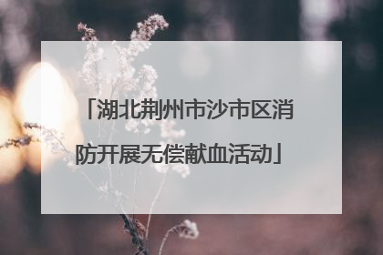 湖北荆州市沙市区消防开展无偿献血活动