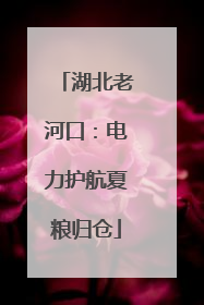 湖北老河口：电力护航夏粮归仓