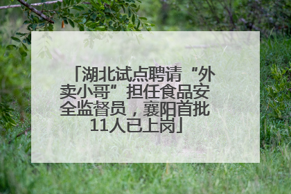 湖北试点聘请“外卖小哥”担任食品安全监督员，襄阳首批11人已上岗