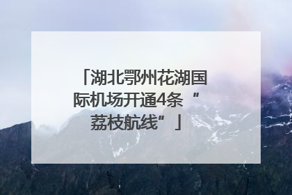 湖北鄂州花湖国际机场开通4条“荔枝航线”