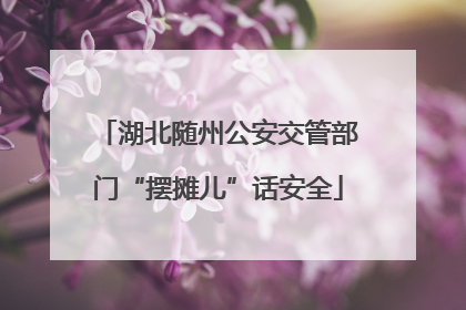 湖北随州公安交管部门“摆摊儿”话安全