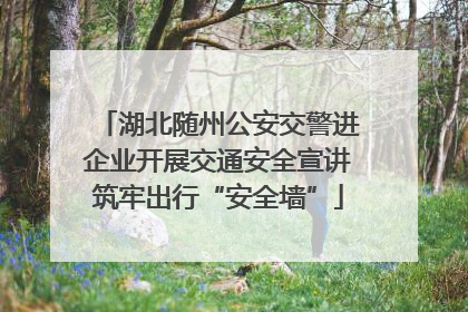 湖北随州公安交警进企业开展交通安全宣讲筑牢出行“安全墙”