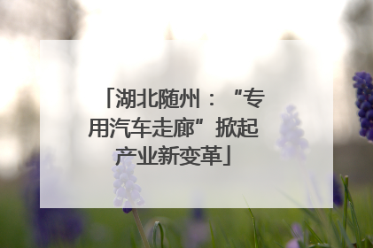 湖北随州：“专用汽车走廊”掀起产业新变革