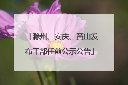 滁州、安庆、黄山发布干部任前公示公告