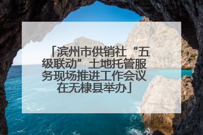 滨州市供销社“五级联动”土地托管服务现场推进工作会议在无棣县举办