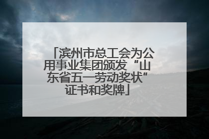 滨州市总工会为公用事业集团颁发“山东省五一劳动奖状”证书和奖牌