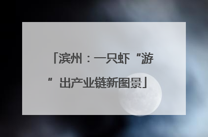 滨州：一只虾“游”出产业链新图景