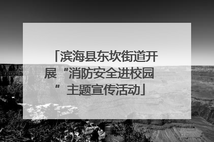 滨海县东坎街道开展“消防安全进校园”主题宣传活动