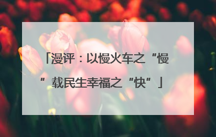 漫评：以慢火车之“慢”载民生幸福之“快”