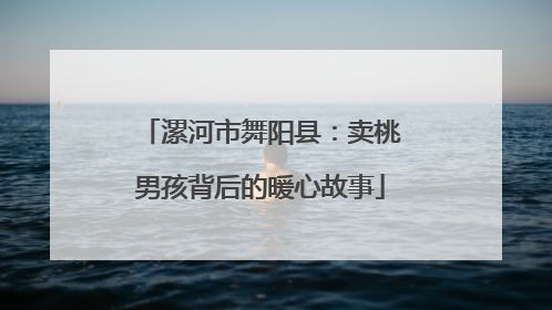 漯河市舞阳县：卖桃男孩背后的暖心故事