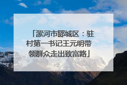 漯河市郾城区：驻村第一书记王元明带领群众走出致富路