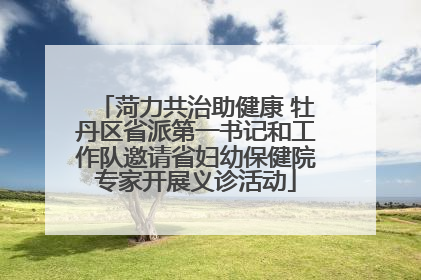 菏力共治助健康 牡丹区省派第一书记和工作队邀请省妇幼保健院专家开展义诊活动