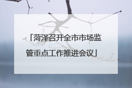 菏泽召开全市市场监管重点工作推进会议