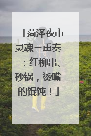 菏泽夜市灵魂三重奏：红柳串、砂锅，烫嘴的馄饨！