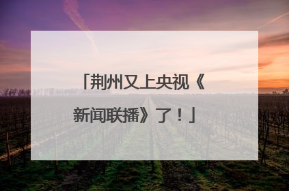 荆州又上央视《新闻联播》了！