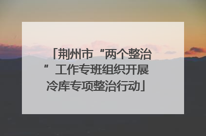 荆州市“两个整治”工作专班组织开展冷库专项整治行动