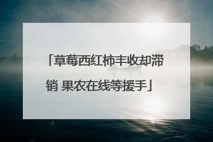 草莓西红柿丰收却滞销 果农在线等援手