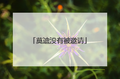 莫迪没有被邀请