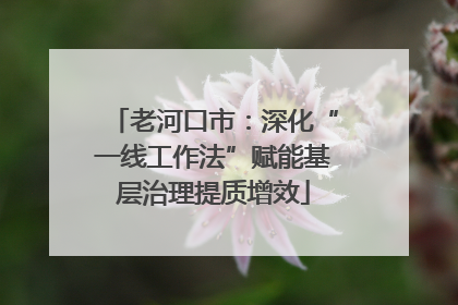 老河口市：深化“一线工作法”赋能基层治理提质增效
