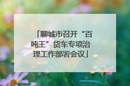 聊城市召开“百吨王”货车专项治理工作部署会议